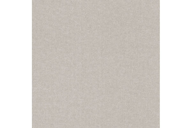 Обои 252859 Rasch Bambino XIX