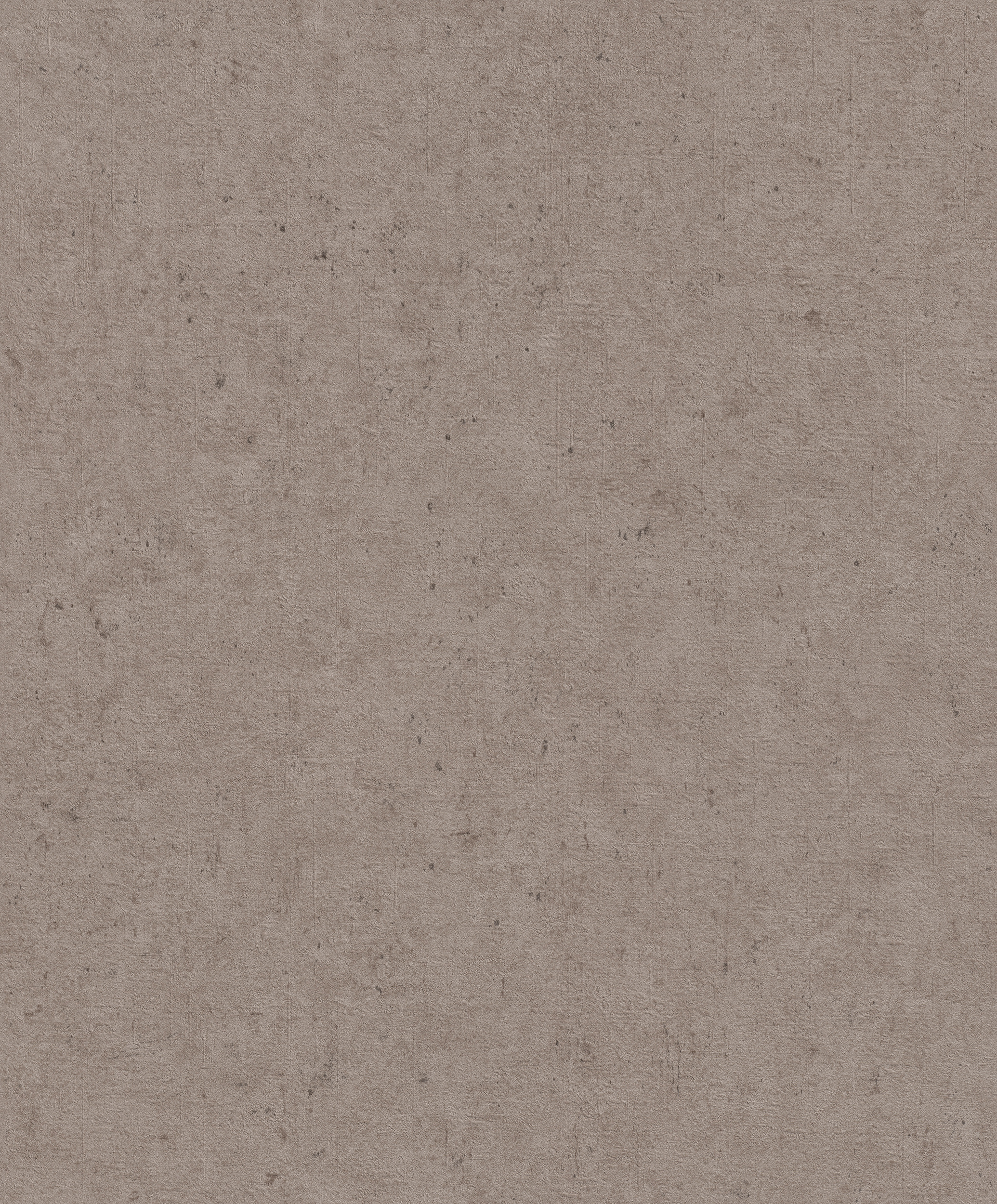 Обои 520873 Rasch Beltesto