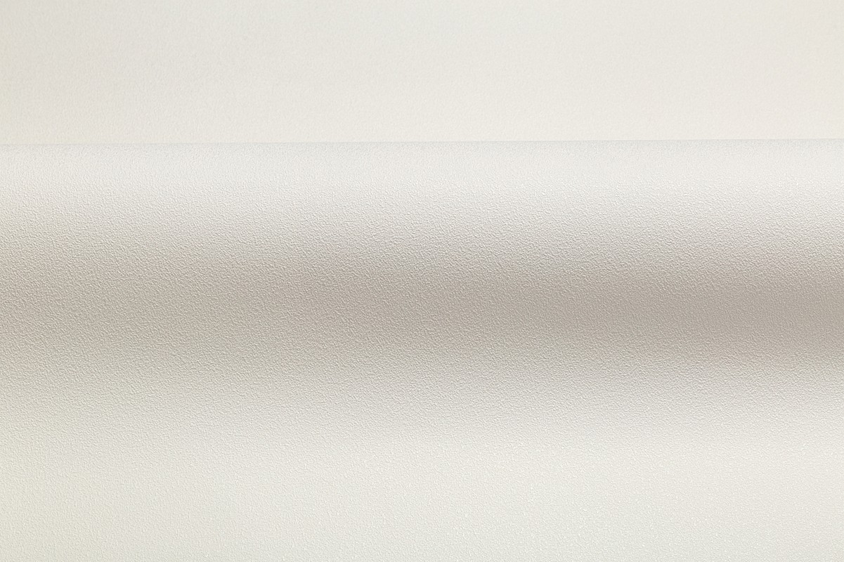 Обои HC71822-12 Palitra Home Color Монохром Palitra Home Color коллекция Монохром производства РОССИЯ в интернет-магазине Обоитрейд