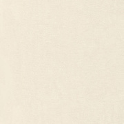 Обои 5052-02 Euro Decor Yuka Euro Decor коллекция Yuka производства РОССИЯ в интернет-магазине Обоитрейд