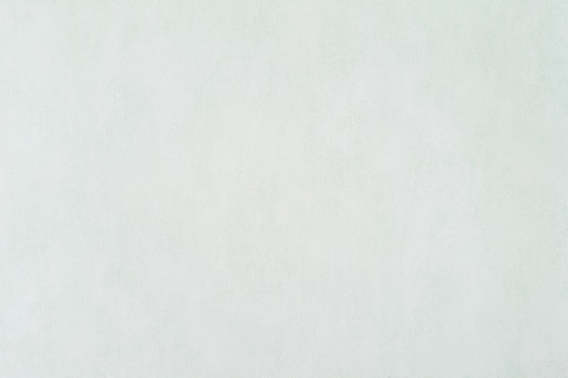 Обои 10722-03 Артекс Рандеву