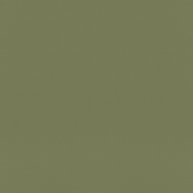 Обои 687538 Rasch Дом в тропиках