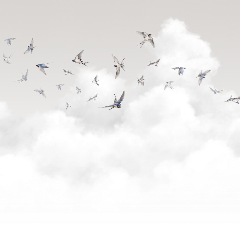 Обои AM11 011 Milassa Ambient vol. 3