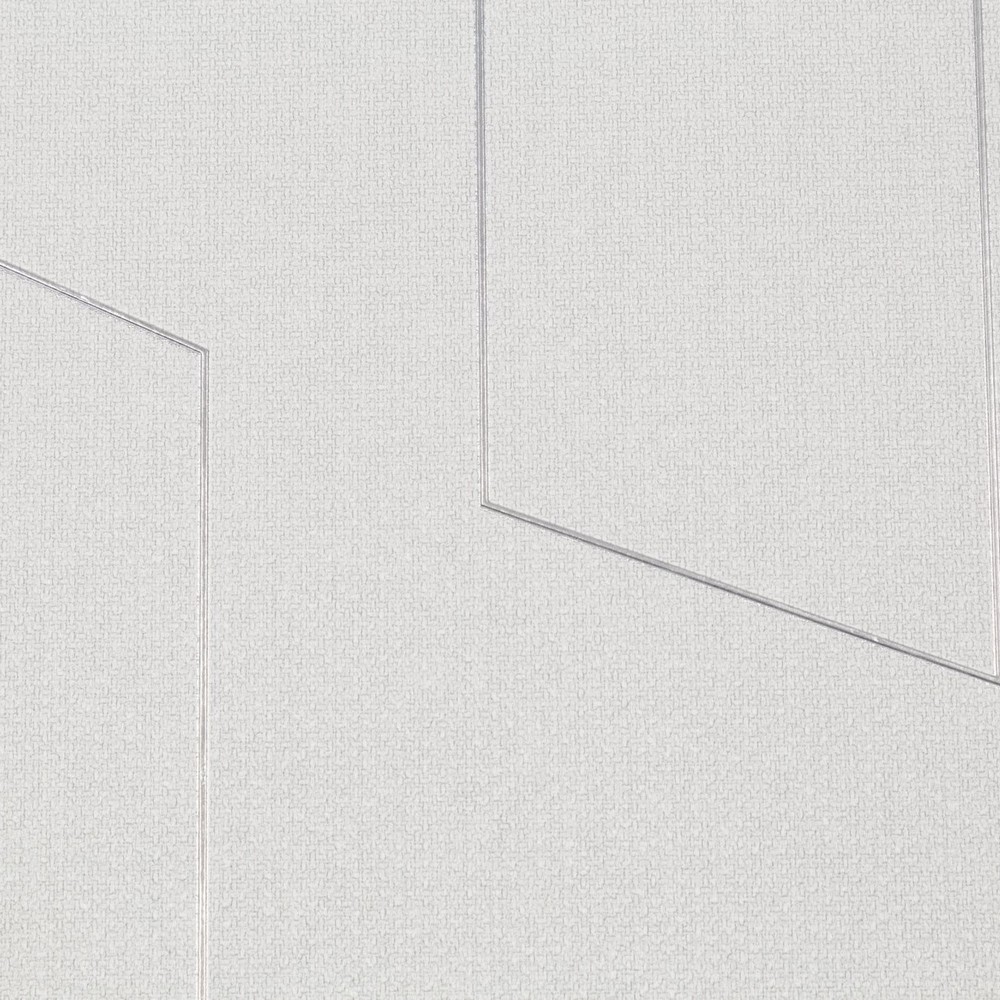 Обои TC72376-14 Palitra Trend Color Тренд Линии Palitra Trend Color коллекция Тренд Линии производства РОССИЯ в интернет-магазине Обоитрейд