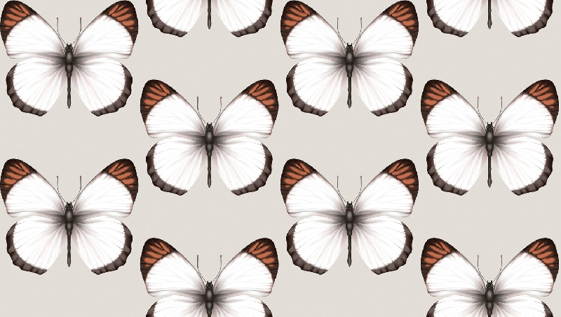 Обои 54401-3 Andrea Rossi Cheradi