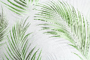 Обои HC71973-47 Home color Tropical Shades Home color коллекция Tropical Shades производства РОССИЯ в интернет-магазине Обоитрейд