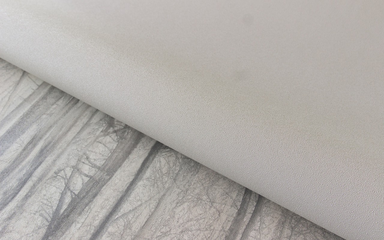 Обои 70393-22 R аспект Акцент R аспект коллекция Акцент производства РОССИЯ в интернет-магазине Обоитрейд