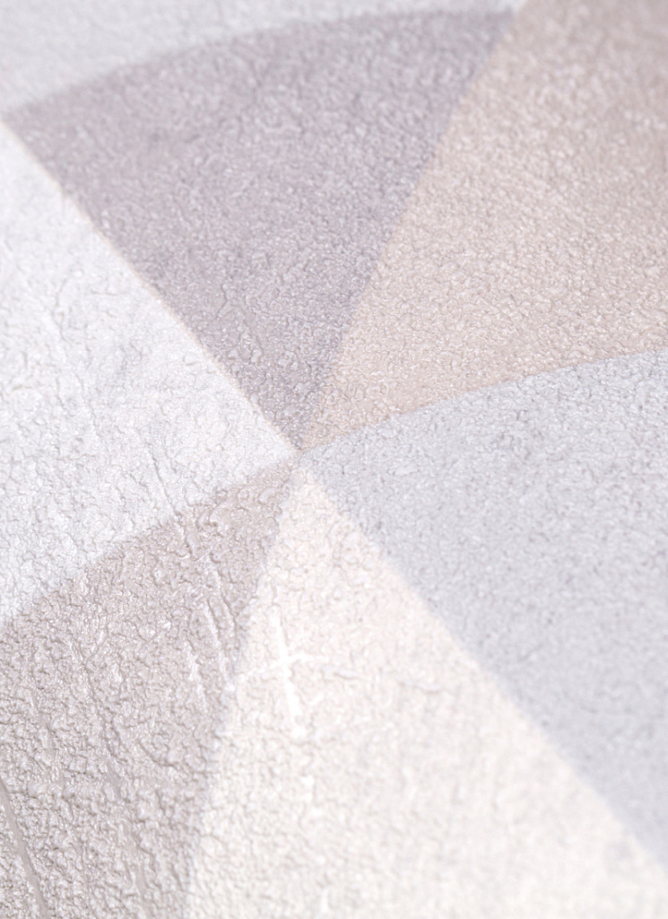 CAT_MACRO_PHOTOdI_SP72190-24_(10).jpg CAT_MACRO_PHOTOdI_SP72190-24_(10).jpg