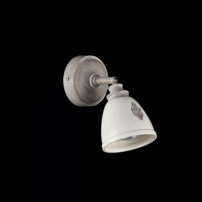 Спот Maytoni Spot SP289-CW-01-BG
