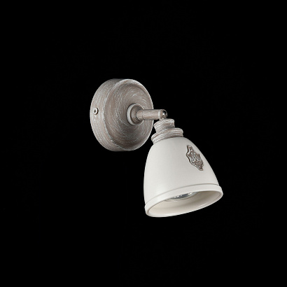 Спот Maytoni Spot SP289-CW-01-BG