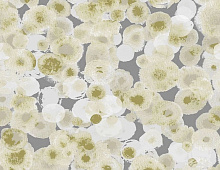 Обои 1054-2 ICH Dans Lemur Caribbean