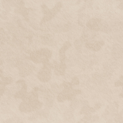 Обои R 24123 Fipar Meteora