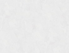 Обои W197013 Rasch Bright Whisper