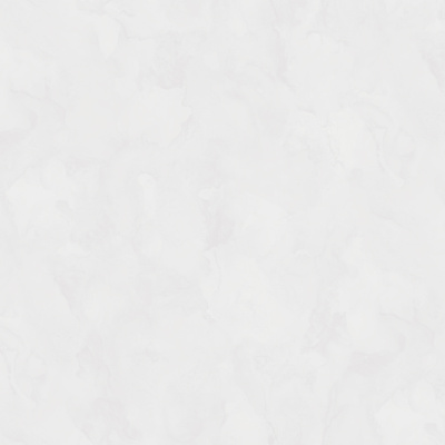 Обои W197013 Rasch Bright Whisper