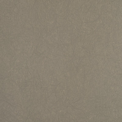 Обои 5068-6 Bernardo Bartalucci Legend Bernardo Bartalucci коллекция Legend производства Италия в интернет-магазине Обоитрейд