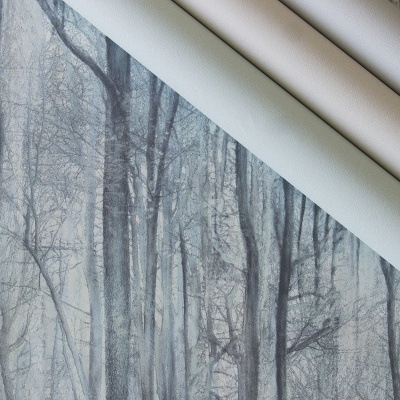 Обои 70392-76 R аспект Акцент Таинственный лес