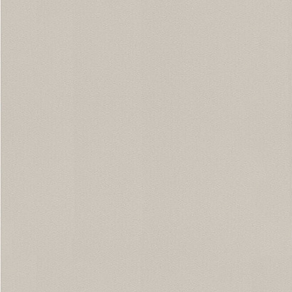 Обои 806823 Rasch Salsa Rasch коллекция Salsa производства Германия в интернет-магазине Обоитрейд