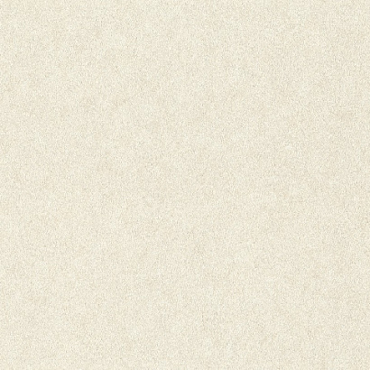 Обои 947649 Rasch Factory Style / Wall Textures XL Rasch коллекция Factory Style производства Германия в интернет-магазине Обоитрейд