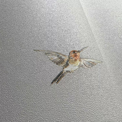 Обои 54356-2 Andrea Rossi Spectrum Plus