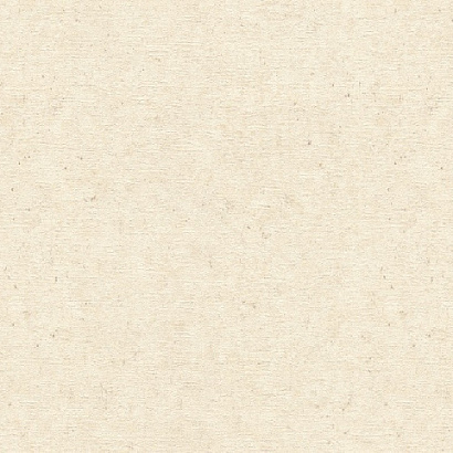 Обои 974218 Rasch Concrete XL / Wall Textures XL Rasch коллекция Concrete XL производства Германия в интернет-магазине Обоитрейд