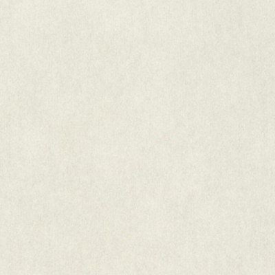 Обои 957327 Rasch Raymond / Wall Textures XL