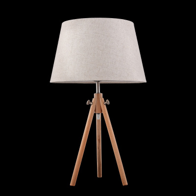 Настольная лампа Maytoni Table & Floor Z177-TL-01-BR