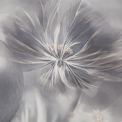 Обои FM72425-41 PalitraFamily Faraday PalitraFamily коллекция Faraday производства РОССИЯ в интернет-магазине Обоитрейд