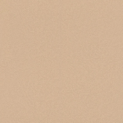 Обои 752694 Rasch African Queen 3 Rasch коллекция African Queen 3 производства Германия в интернет-магазине Обоитрейд