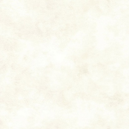 Обои 70445-11 R аспект Штукатурка R аспект коллекция Штукатурка производства РОССИЯ в интернет-магазине Обоитрейд