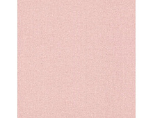 Обои 252873 Rasch Bambino XIX