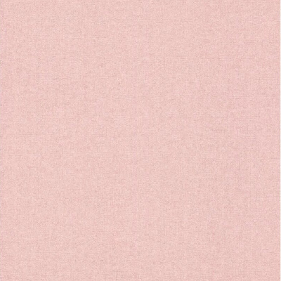 Обои 252873 Rasch Bambino XIX