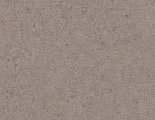 Обои 520873 Rasch Beltesto