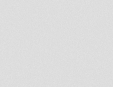 Обои E201007 Solo Фиджи