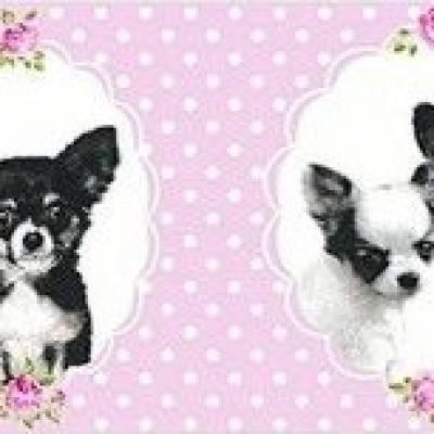 Обои 35850-2 AS Creation Little Stars