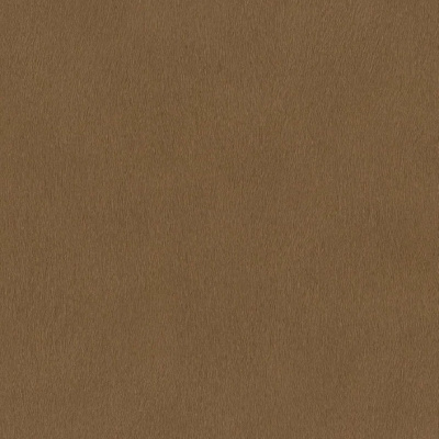 Обои 751079 Rasch African Queen 3