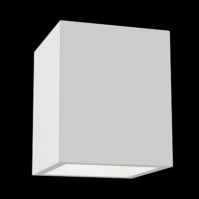 Потолочный светильник Technical Ceiling & Wall C002CW-01W