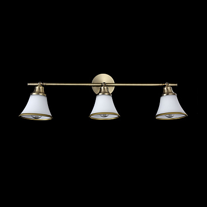 Спот Freya Classic FR2272-CW-03-BS