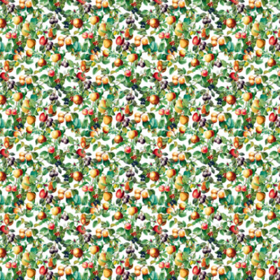 Обои 35632 Marburg Gloockler Pompoos Provence