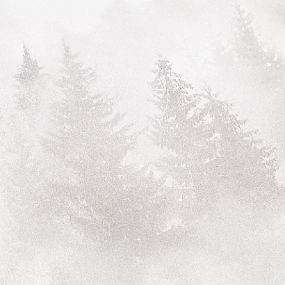 Обои HC71960-21 Home color My Forest Home color коллекция My Forest производства РОССИЯ в интернет-магазине Обоитрейд