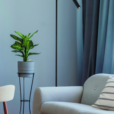 Торшер Maytoni Table & Floor Z010FL-L8B3K