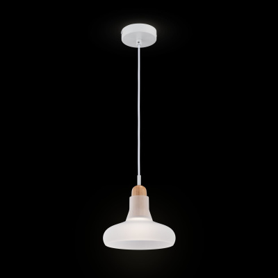 Подвесной светильник Maytoni Pendant P016PL-01W