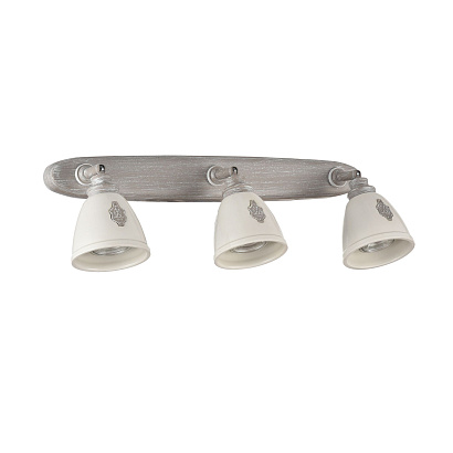 Спот Maytoni Spot SP289-CW-03-BG