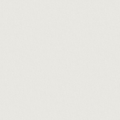 Обои W193002 Rasch Bright Whisper