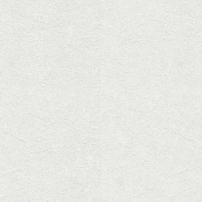 Обои 143812 Rasch Wallton