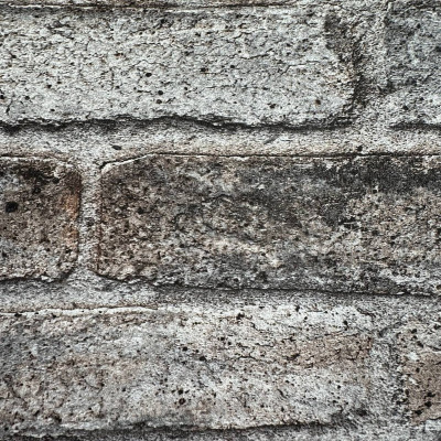 Обои 869002 Rasch Symphony