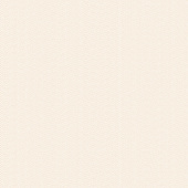 Обои 1002-6 Alessandro Allori Bruni