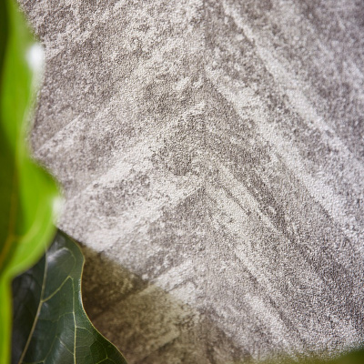 Обои 617528 Rasch Linares