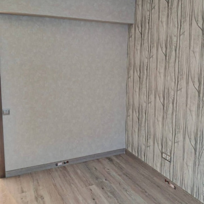 Обои 70392-24 R аспект Акцент Таинственный лес