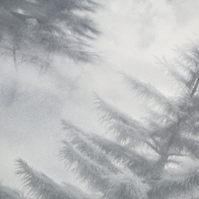 Обои HC72551-44  Palitra Life Ультрахром 3