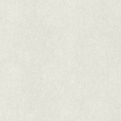 Обои 957303 Rasch Raymond / Wall Textures XL Rasch коллекция Raymond производства Германия в интернет-магазине Обоитрейд